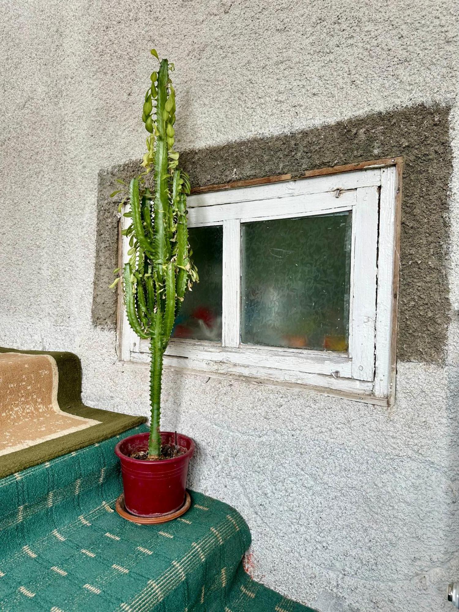 Kayyr Guest House Orgochor Exteriér fotografie
